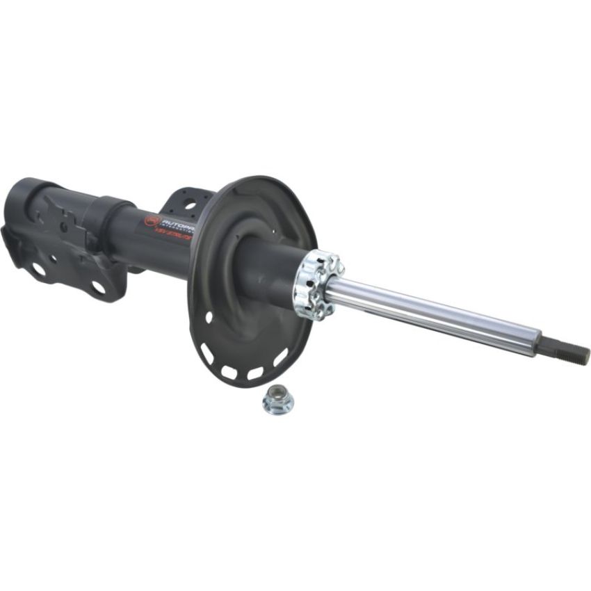 Autopart International Strut Assembly 2701423339