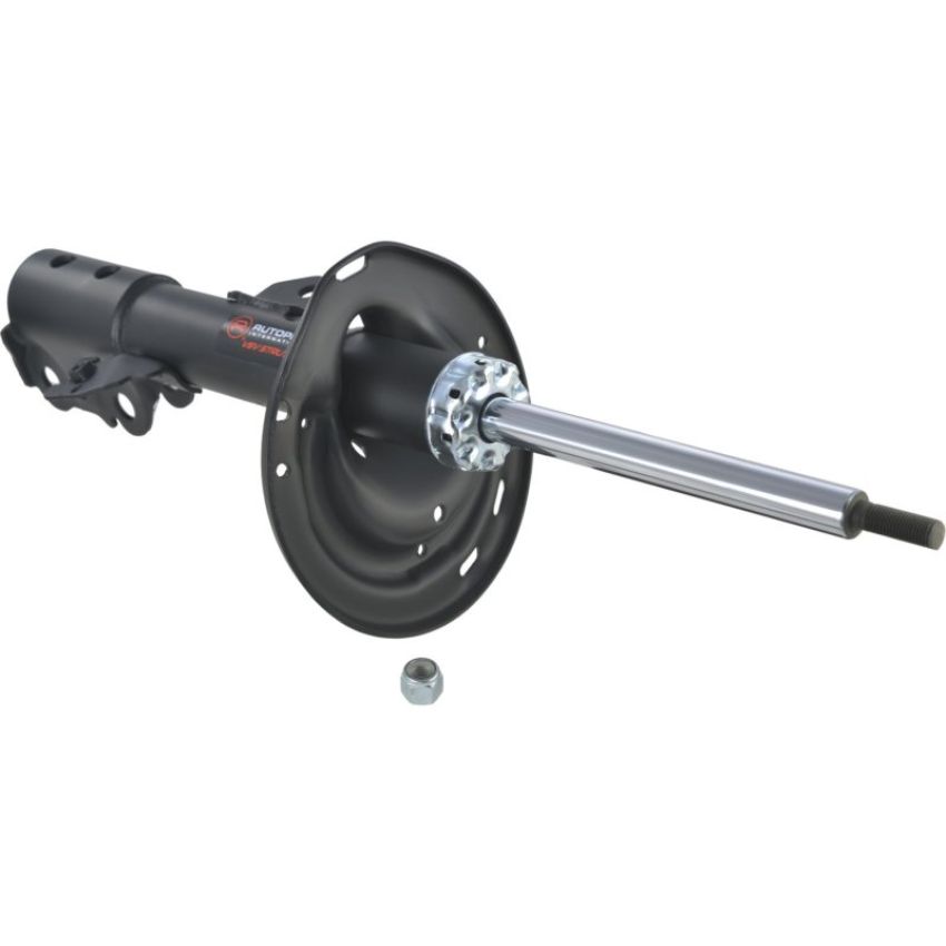 Autopart International Strut Assembly 2701423370