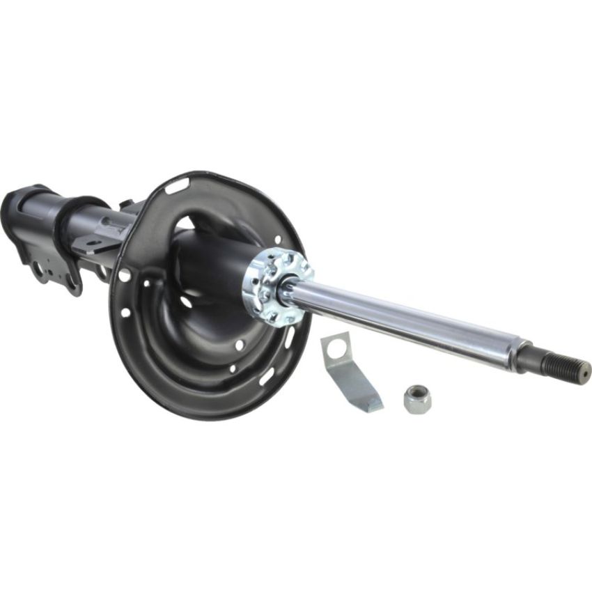 Autopart International Strut Assembly 2701424225