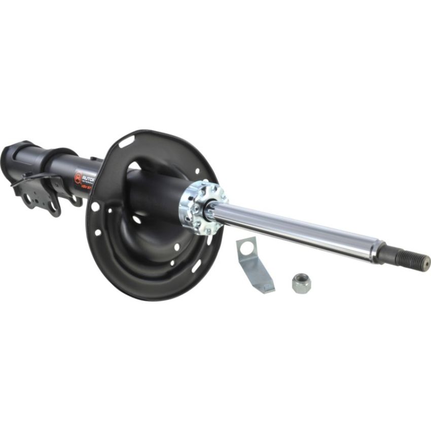 Autopart International Strut Assembly 2701424226