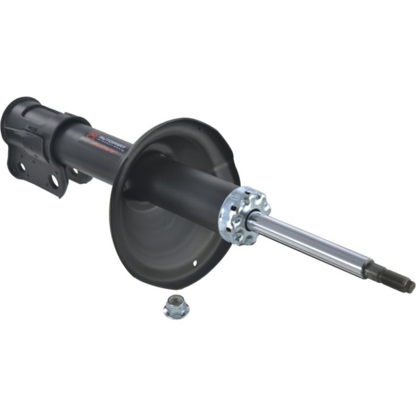 Autopart International Strut Assembly 2701424393