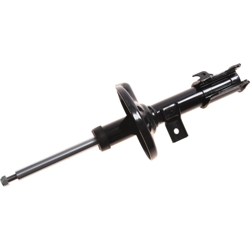 Autopart International Strut Assembly 2701424870