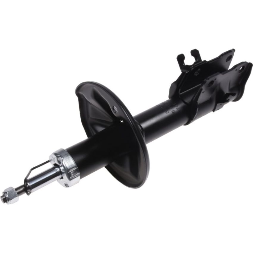 Autopart International Strut Assembly 2701424878