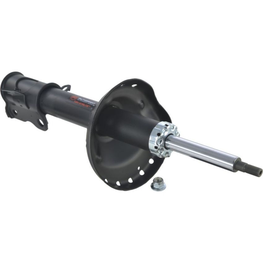 Autopart International Strut Assembly 2701460098