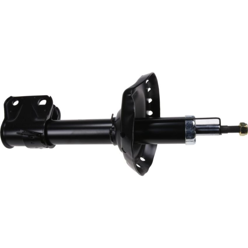 Autopart International Strut Assembly 2701460106