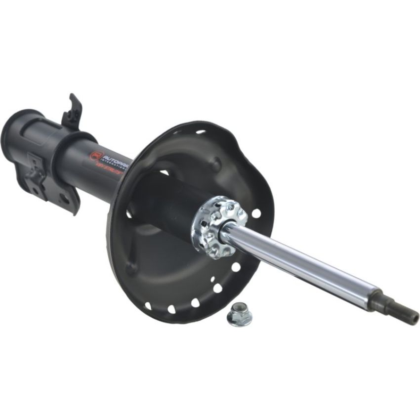 Autopart International Strut Assembly 2701460116