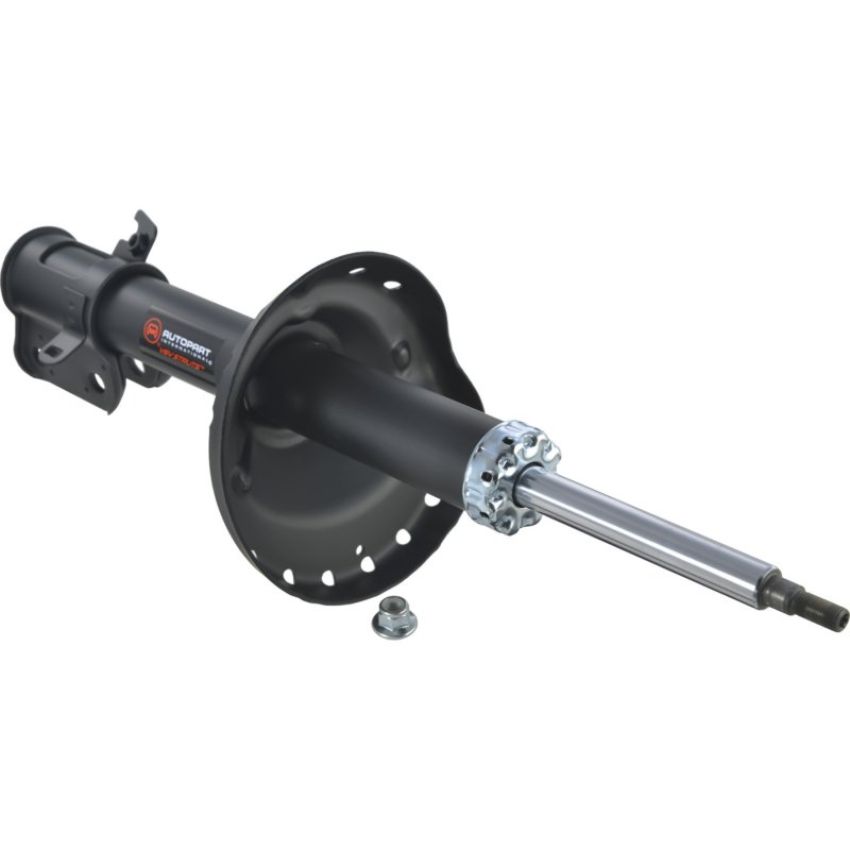 Autopart International Strut Assembly 2701460122