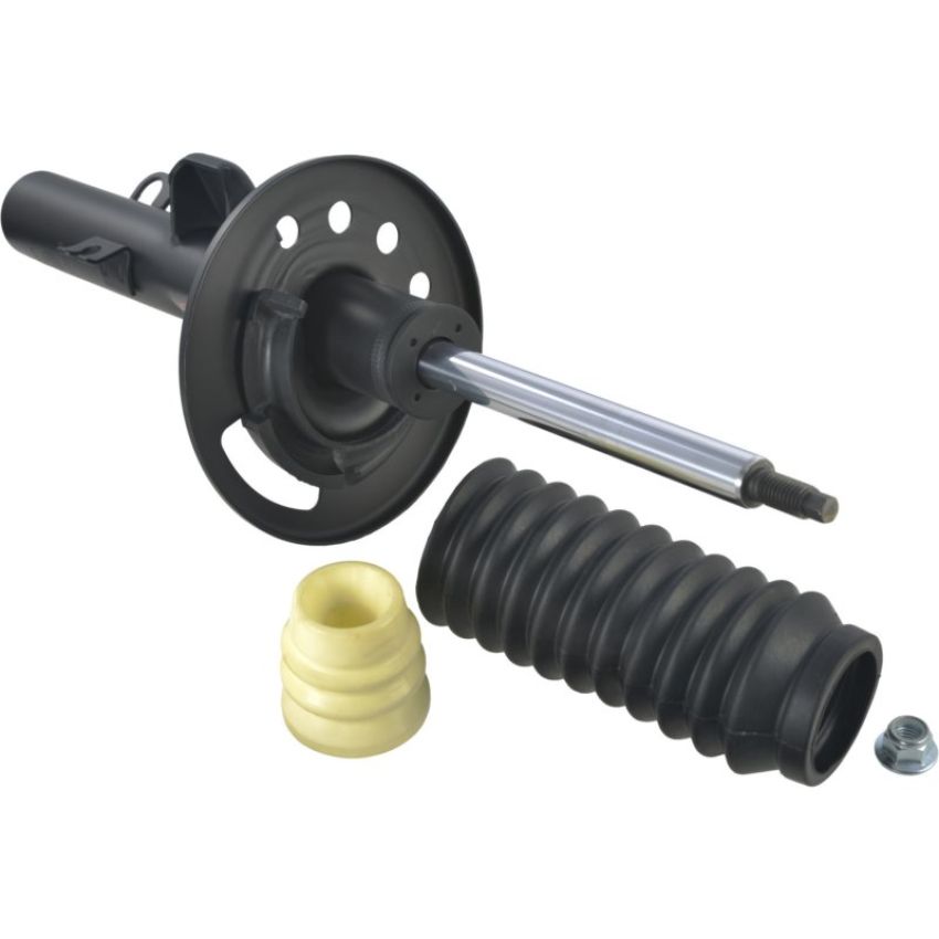 Autopart International Strut Assembly 2701460166