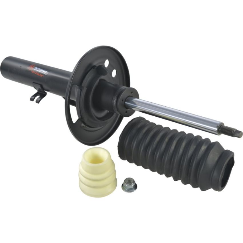 Autopart International Strut Assembly 2701460167