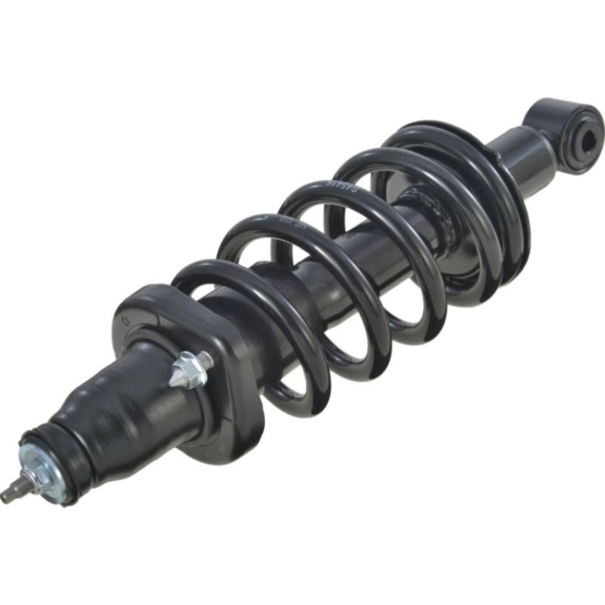 Autopart International Strut/Coil Spring Assy 2701480167