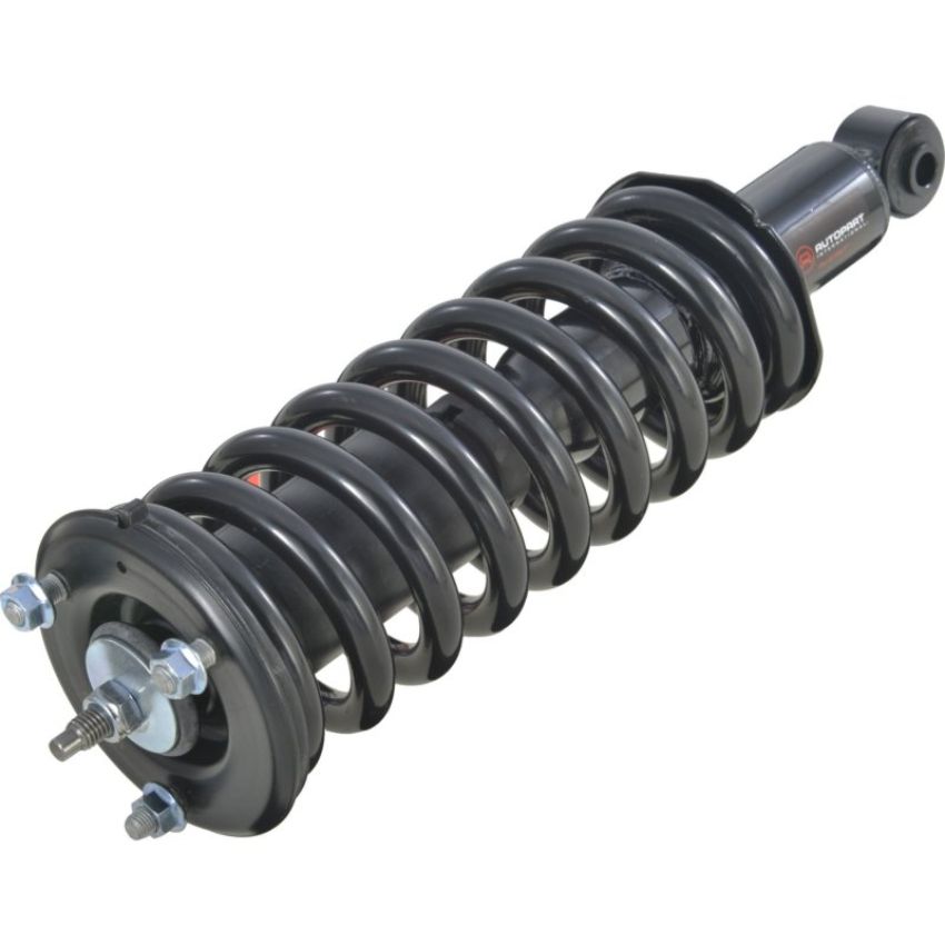 Autopart International Strut/Coil Spring Assy 2701480172