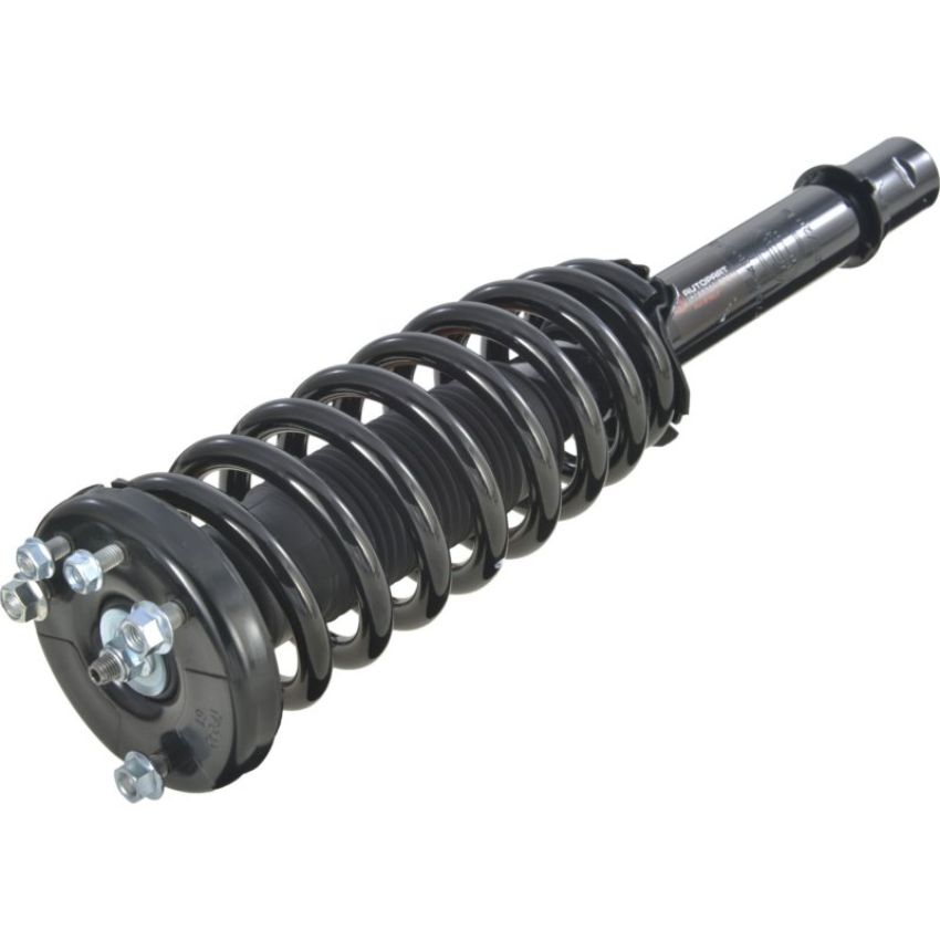 Autopart International Strut/Coil Spring Assy 2701480312