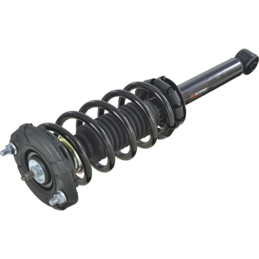 Autopart International Strut/Coil Spring Assy 2701480323