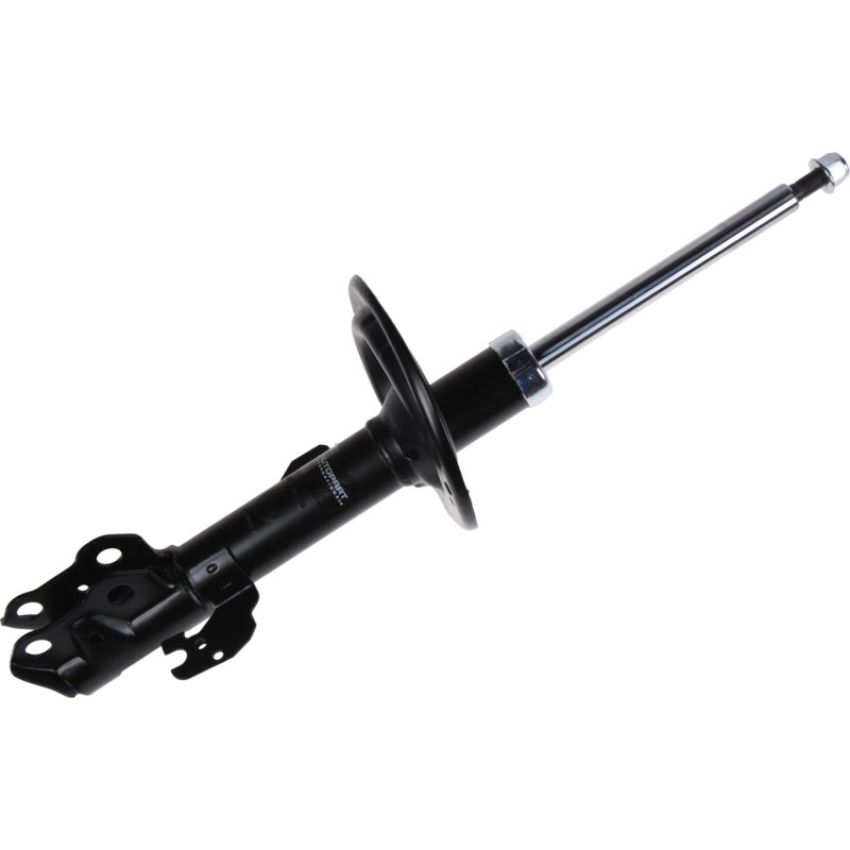 Autopart International Strut Assembly 2701501856