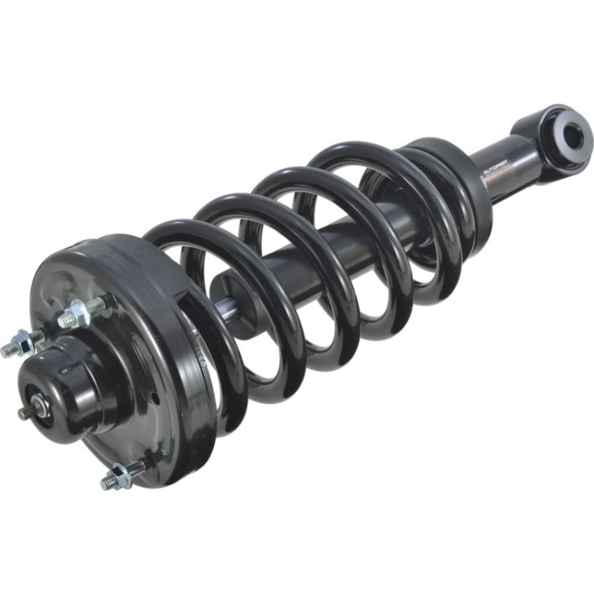 Autopart International Strut/Coil Spring Assy 2701502764