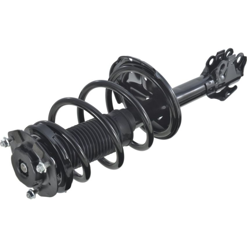 Autopart International Strut/Coil Spring Assy 2701505590