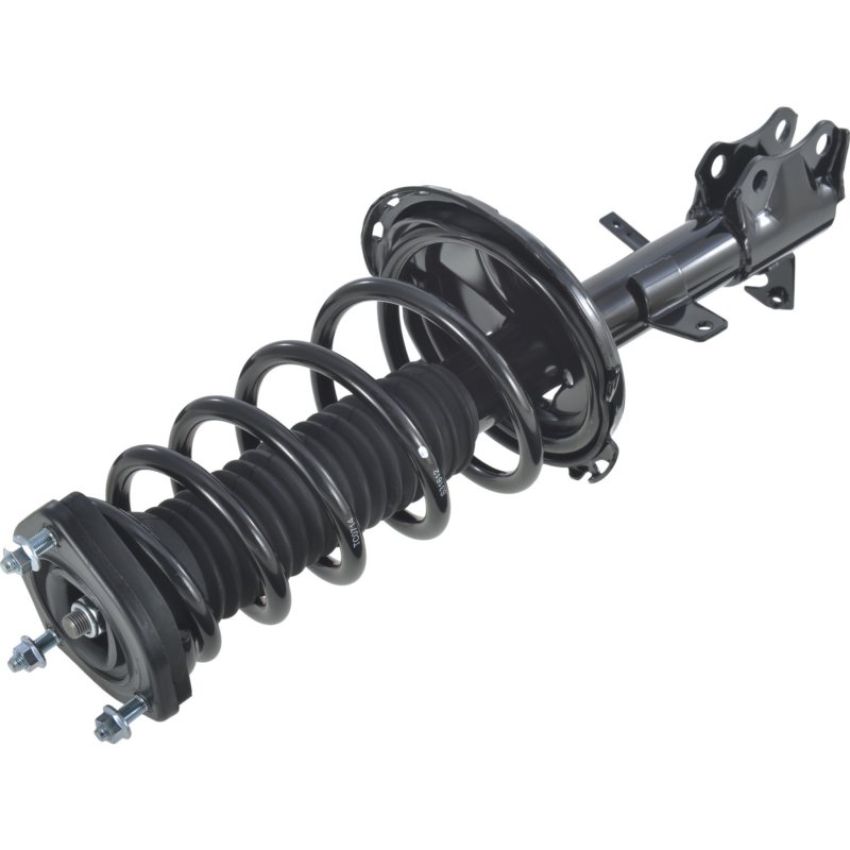Autopart International Strut/Coil Spring Assy 2701505595