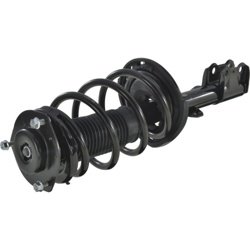 Autopart International Strut/Coil Spring Assy 2701505597