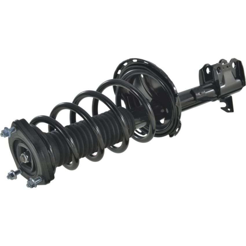 Autopart International Strut/Coil Spring Assy 2701505599
