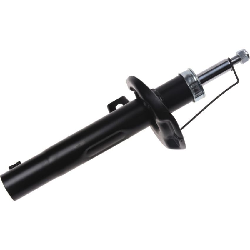 Autopart International Strut Assembly 2701507586