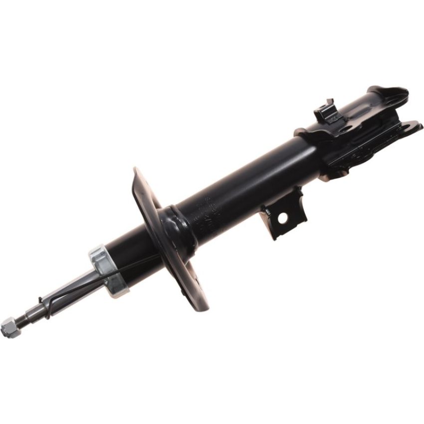 Autopart International Strut Assembly 2701518678