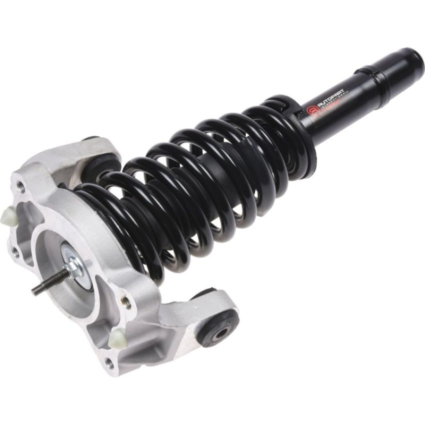 Autopart International Strut/Coil Spring Assy 2701524566