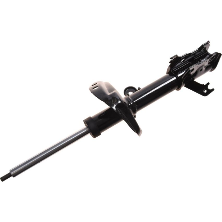 Autopart International Strut Assembly 2701528381