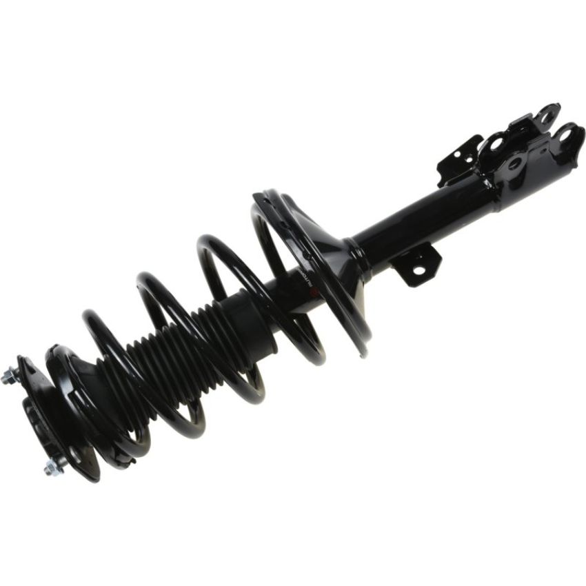 Autopart International Strut/Coil Spring Assy 2701536318