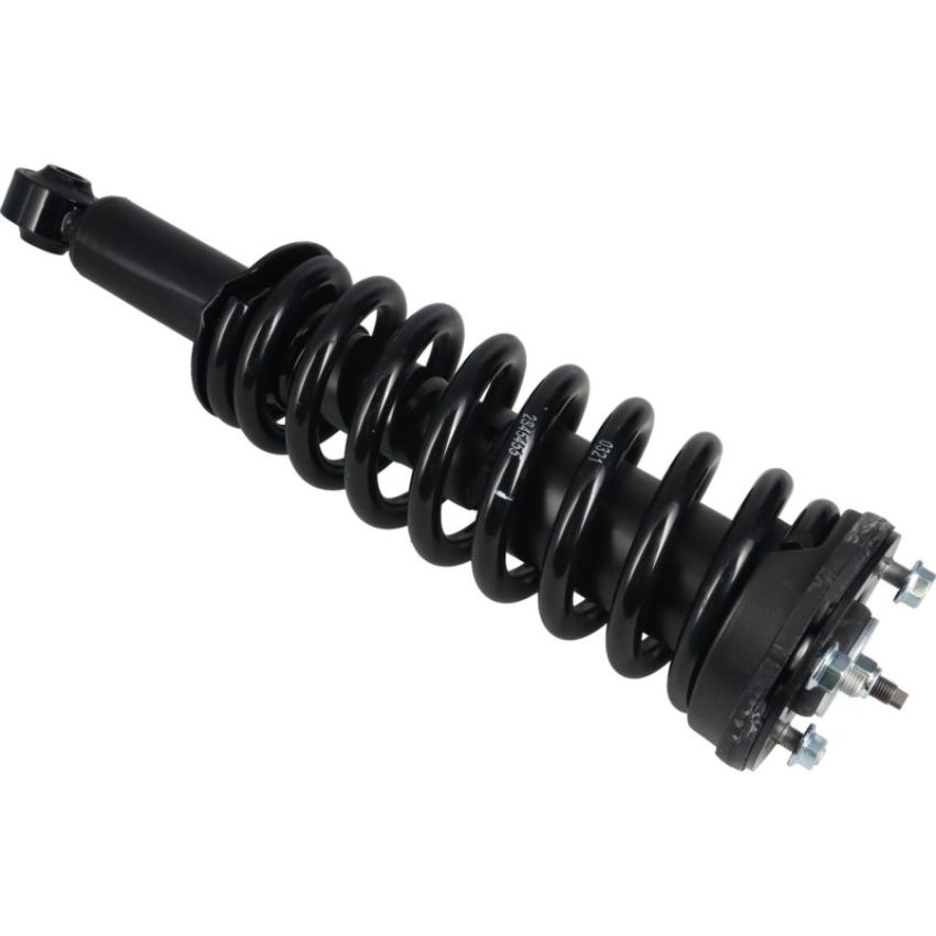 Autopart International Strut/Coil Spring Assy 2701539567