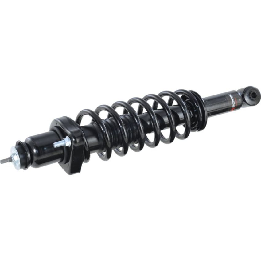 Autopart International Strut/Coil Spring Assy 2701539572
