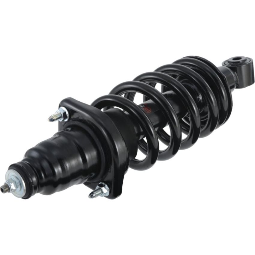 Autopart International Strut/Coil Spring Assy LX and EX models 2701539587