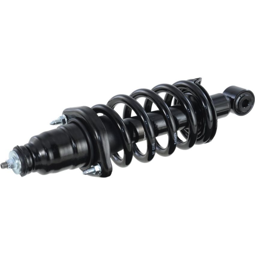 Autopart International Strut/Coil Spring Assy EX and LX models 2701539588