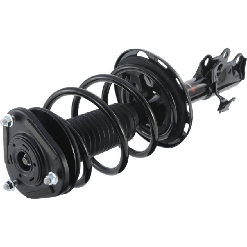Autopart International Strut/Coil Spring Assy 2701541598