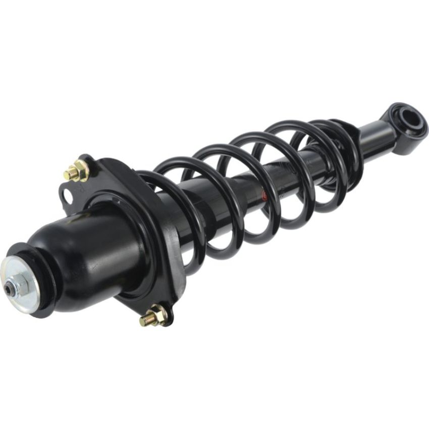 Autopart International Strut/Coil Spring Assy 2701545912