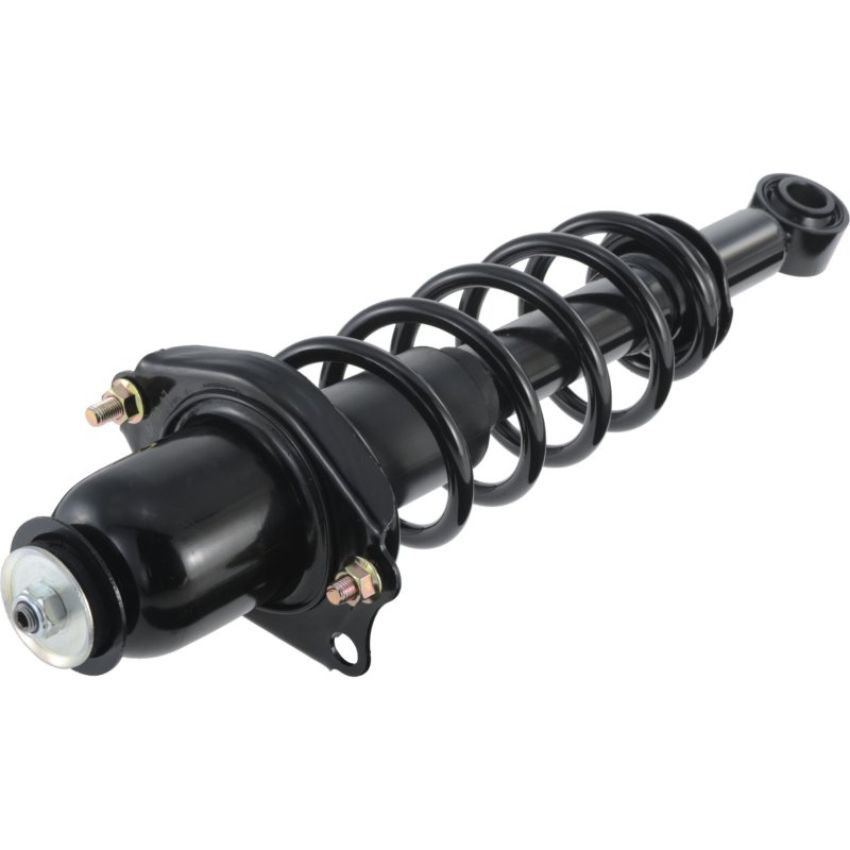 Autopart International Strut/Coil Spring Assy 2701545913