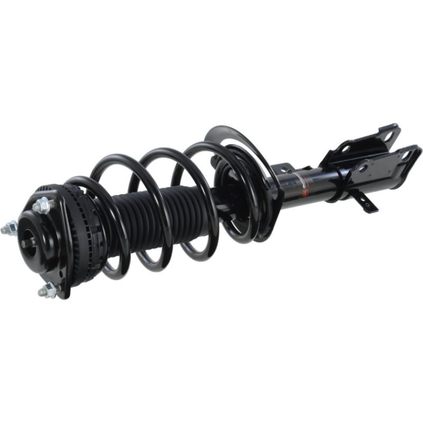Autopart International Strut/Coil Spring Assy 2701545919
