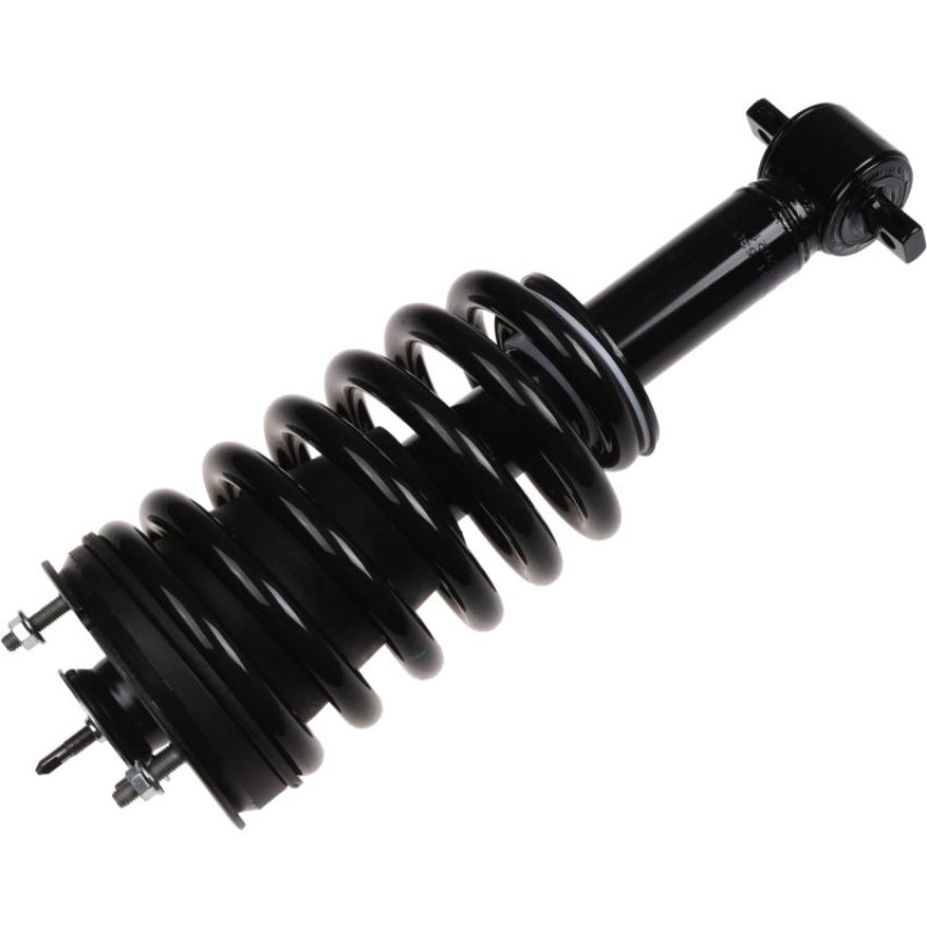 Autopart International Strut/Coil Spring Assy 2701594448