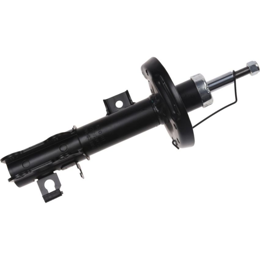 Autopart International Strut Assembly 2701634859