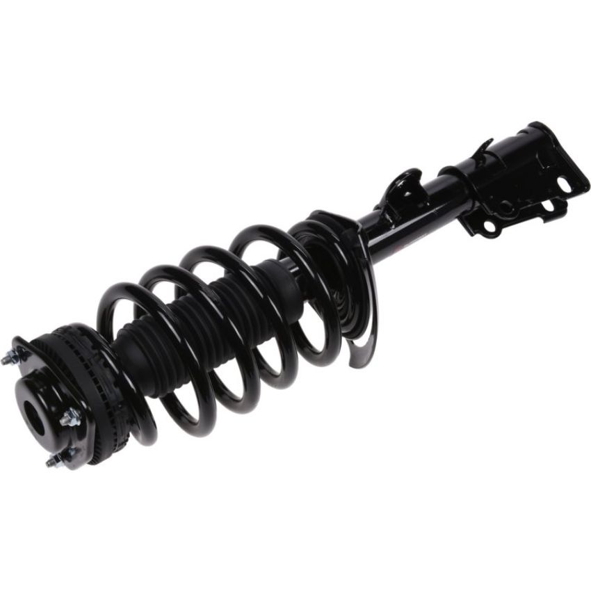 Autopart International Strut/Coil Spring Assy 2701634958