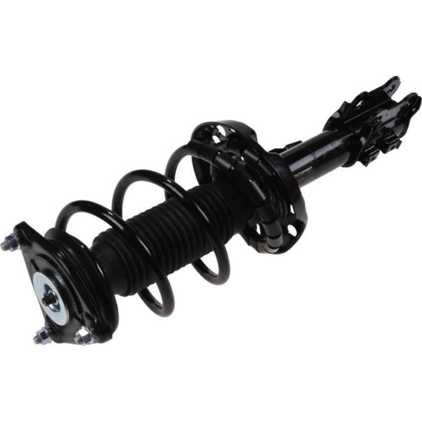 Autopart International Strut/Coil Spring Assy 2701651623