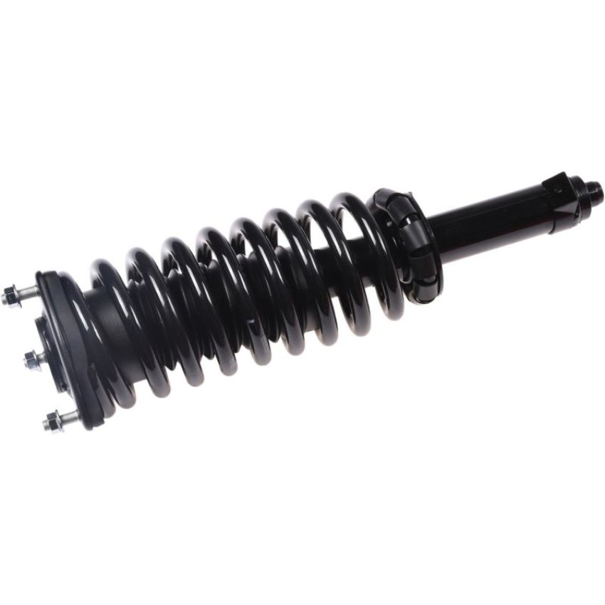 Autopart International Strut/Coil Spring Assy 2701651681