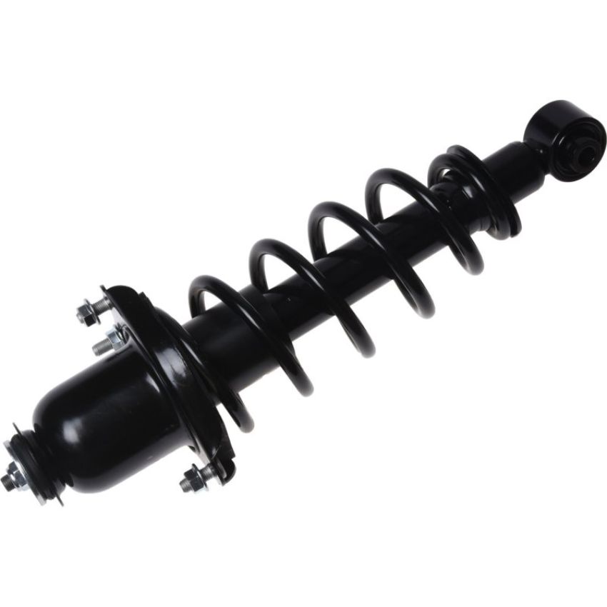 Autopart International Strut/Coil Spring Assy 2701654354