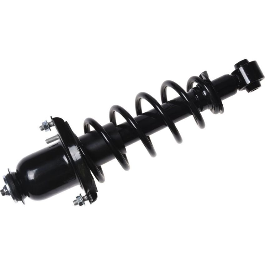 Autopart International Strut/Coil Spring Assy 2701654355