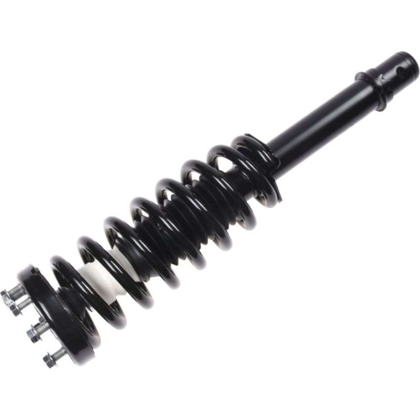 Autopart International Strut/Coil Spring Assy 2701654374