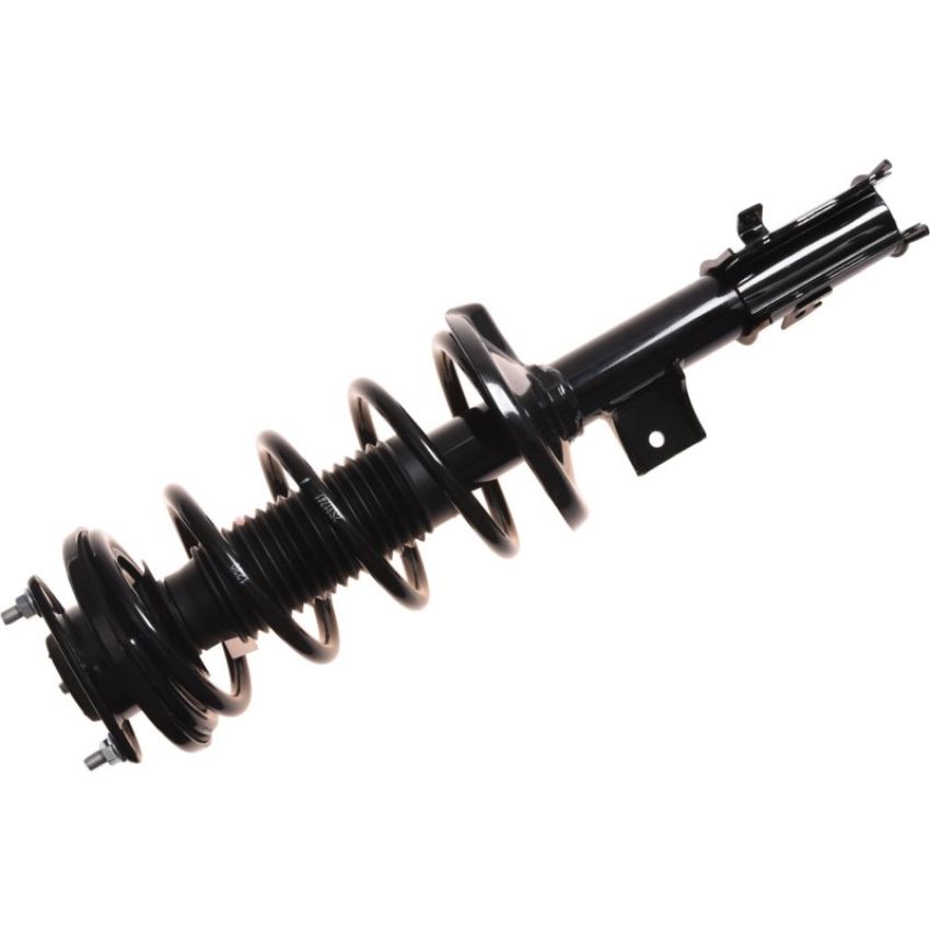 Autopart International Strut/Coil Spring Assy 2701654381