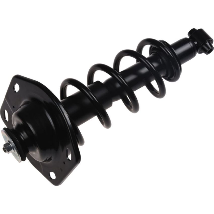 Autopart International Strut/Coil Spring Assy 2701654838