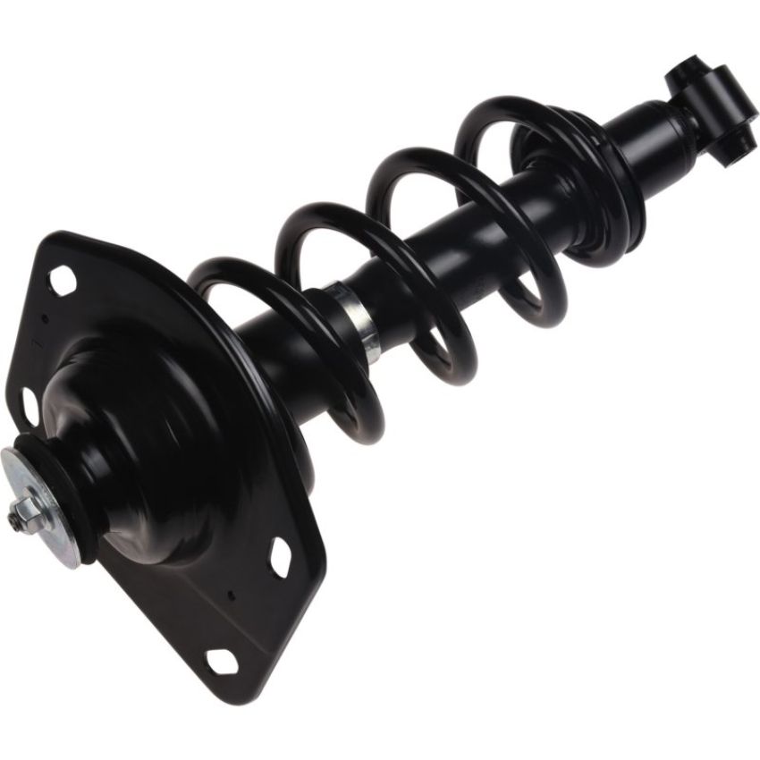 Autopart International Strut/Coil Spring Assy 2701654839