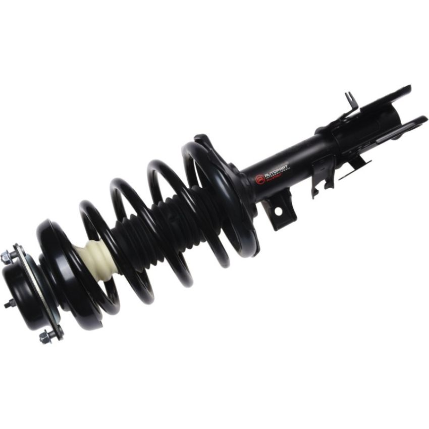 Autopart International Strut/Coil Spring Assy 2701654845