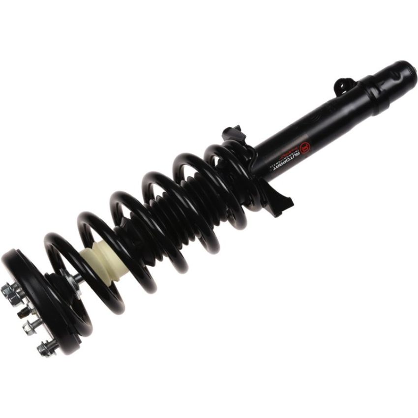 Autopart International Strut/Coil Spring Assy 2701654867