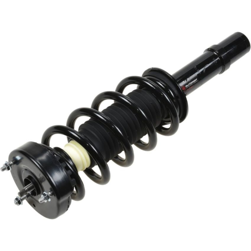 Autopart International Strut/Coil Spring Assy 2701654869